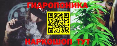 каннабис Новозыбков